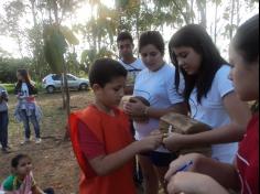 Grupo Velozes e Estudiosos no Espaço Verde