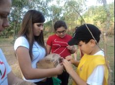 Grupo Velozes e Estudiosos no Espaço Verde