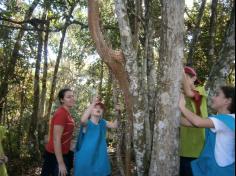 3º ano A no Espaço Verde