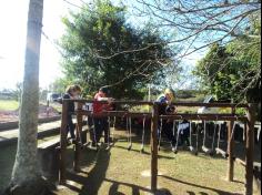 Grupo Vitaminados explorando o Espaço Verde