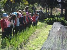 Grupo Vitaminados explorando o Espaço Verde