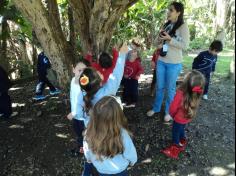 Grupos Peixe e Música em uma tarde de estudos e brincadeiras no Espaço Verde