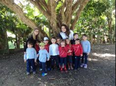 Grupos Peixe e Música em uma tarde de estudos e brincadeiras no Espaço Verde