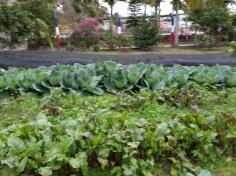 Feras na Escola no Espaço Verde