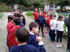 Feras na Escola no Espaço Verde