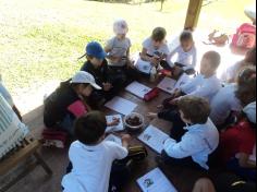 2º ano C realiza aula em sítio