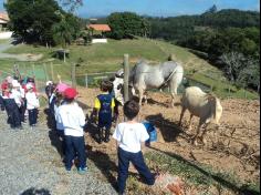 2º ano C realiza aula em sítio