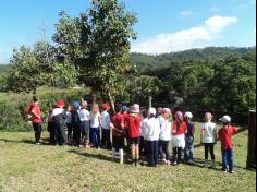 2º ano C realiza aula em sítio