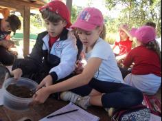 2º ano C realiza aula em sítio