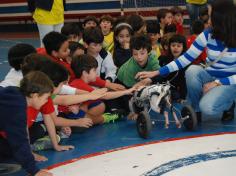 Sessão Cívica para a Educação Infantil e 1° ano