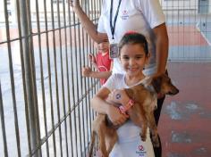 Banho de Cidadania: feirinha de doação de animais!