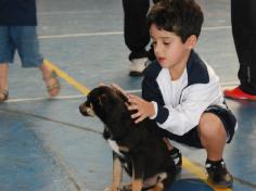 Banho de Cidadania: feirinha de doação de animais!