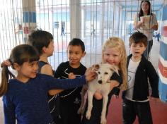 Banho de Cidadania: feirinha de doação de animais!