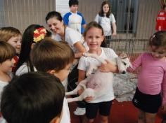 Banho de Cidadania: feirinha de doação de animais!