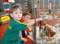 Banho de Cidadania: feirinha de doação de animais!