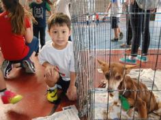 Banho de Cidadania: feirinha de doação de animais!