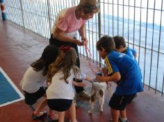 Banho de Cidadania: feirinha de doação de animais!