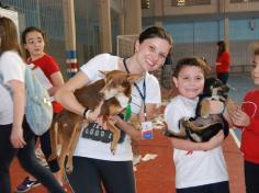 Banho de Cidadania: feirinha de doação de animais!