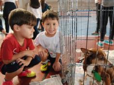 Banho de Cidadania: feirinha de doação de animais!