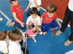 Banho de Cidadania: feirinha de doação de animais!