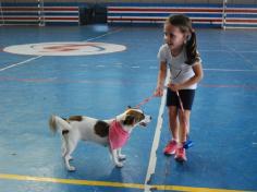 Banho de Cidadania: feirinha de doação de animais!