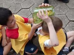 1º ano B em aula passeio no Espaço Verde