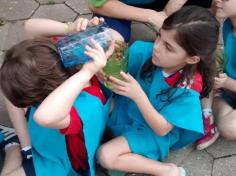 1º ano B em aula passeio no Espaço Verde