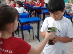 1º ano B estudando a Região Sul