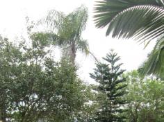 Aula de campo: Gincana da água no Espaço Verde