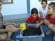 1º ano B realiza experiência da decomposição