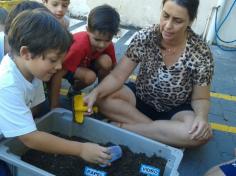 1º ano B realiza experiência da decomposição