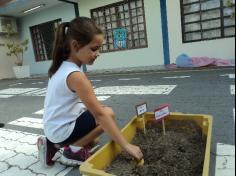 Experiência de Decomposição no 1º ano C