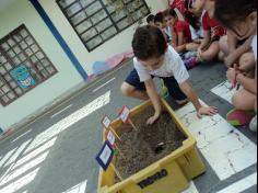 Experiência de Decomposição no 1º ano C