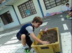 Experiência de Decomposição no 1º ano C