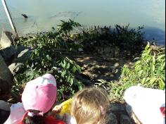 Infantil II em aula-passeio à Beira Rio