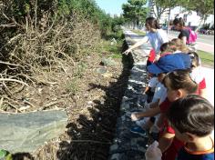 Infantil II em aula-passeio à Beira Rio