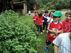 Grupos Elefante e Abelha no Espaço Verde