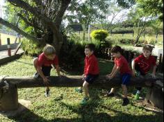 Aventura e diversão no Espaço Verde