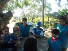 3º ano C, redescobrindo a natureza com os sentidos