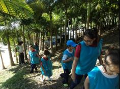 3º ano C, redescobrindo a natureza com os sentidos