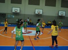 OLIS 2015 – Basquete