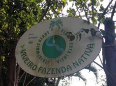 Como é bom estar na natureza