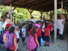 Aula passeio no sítio da APAE