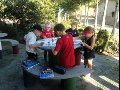 2º ano C participa de aula de campo no Espaço Verde