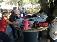 2º ano C participa de aula de campo no Espaço Verde