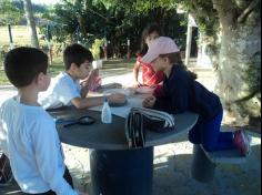 2º ano C participa de aula de campo no Espaço Verde