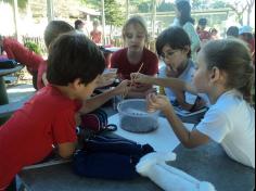 2º ano C participa de aula de campo no Espaço Verde