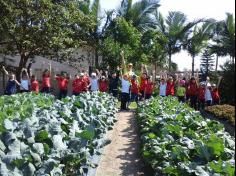 1º ano E ampliando conhecimento no Espaço Verde