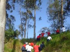 1º ano E ampliando conhecimento no Espaço Verde