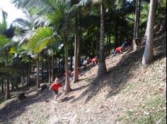 1º ano E ampliando conhecimento no Espaço Verde